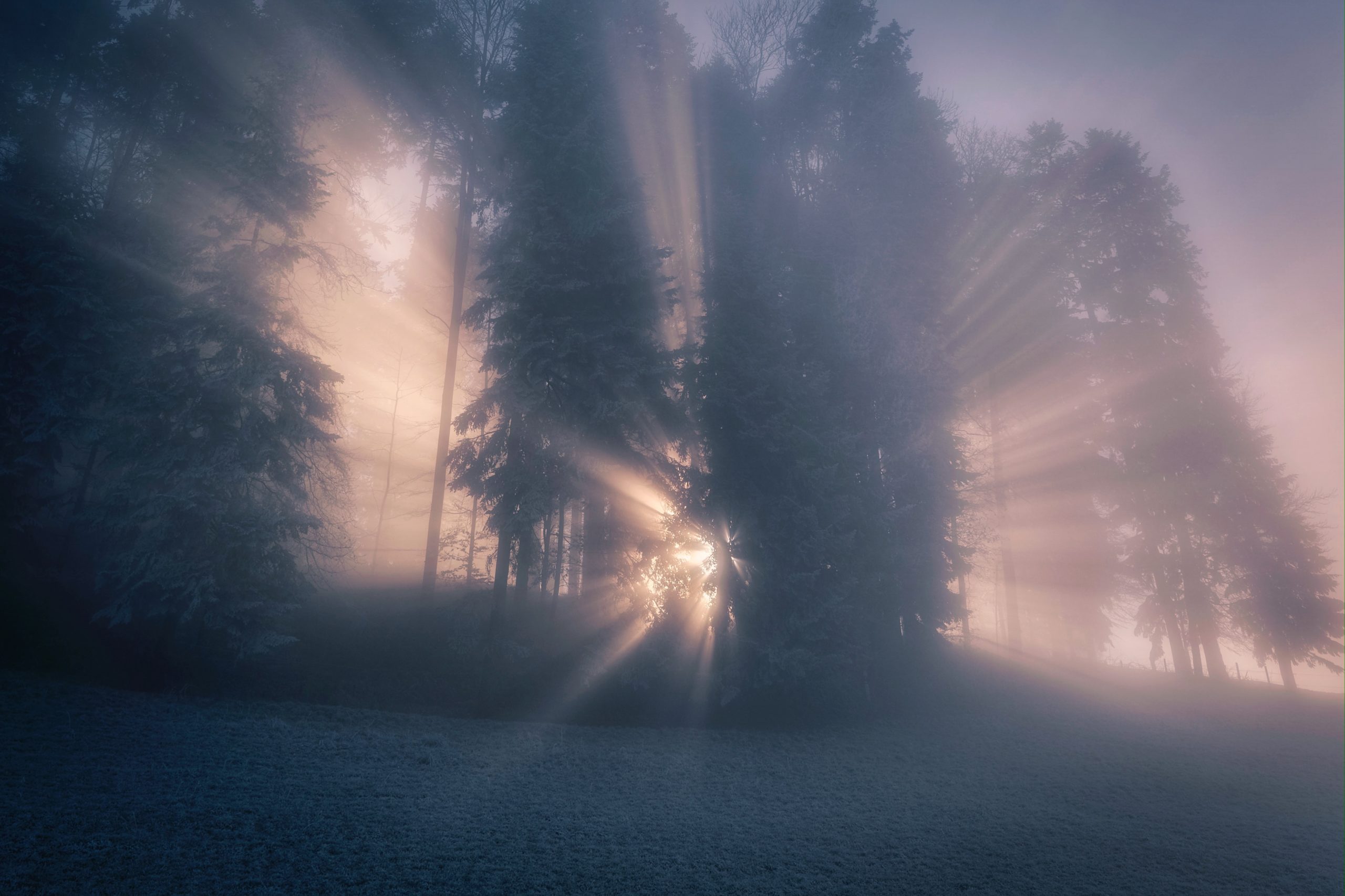 The Fog of the Soul